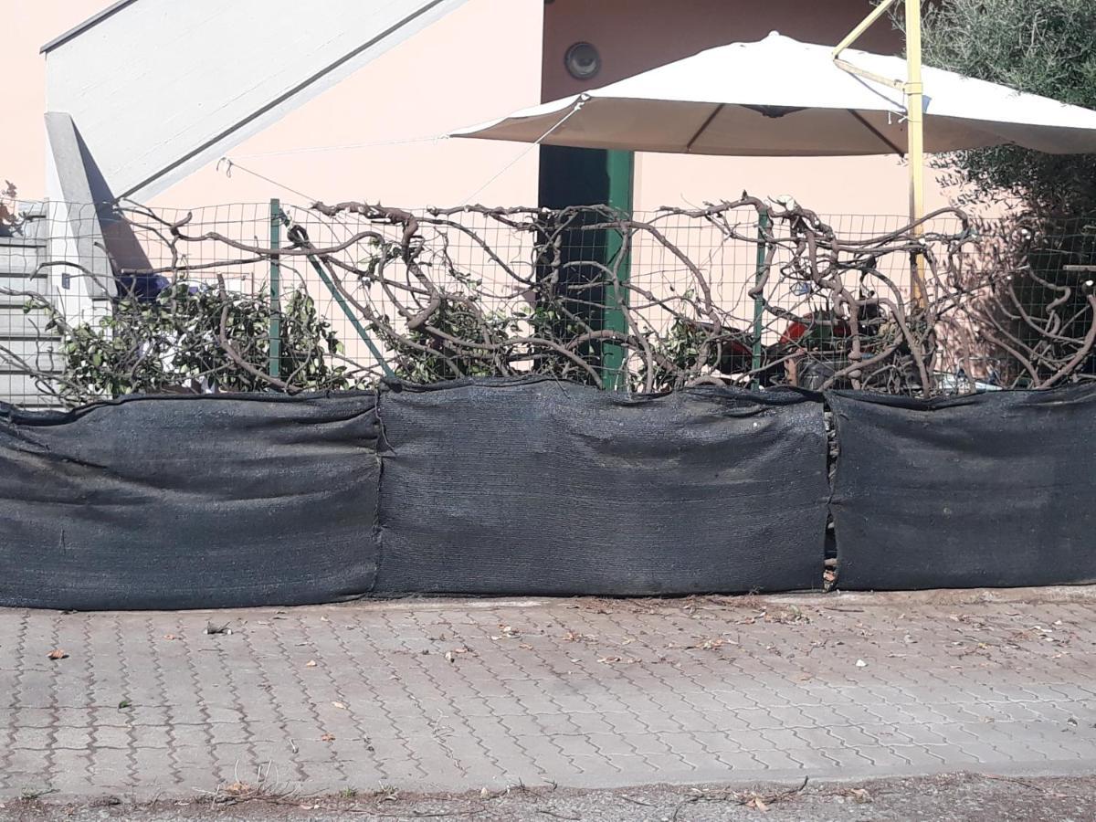 Da Hele & Zozi Lägenhet Signa Exteriör bild